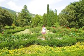 Никитский ботанический сад, Центральный розарий